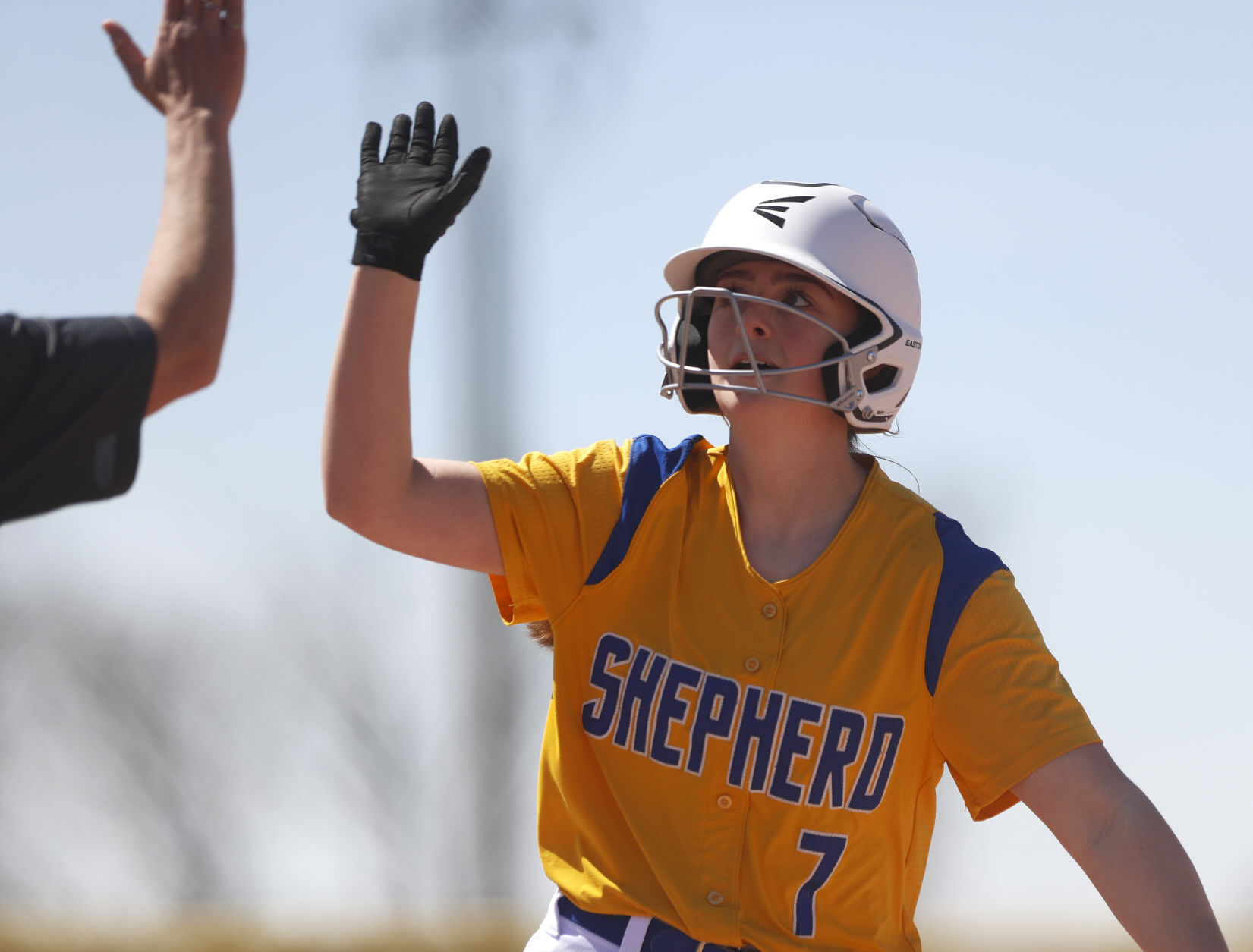 Huntley Project softball v Shepherd